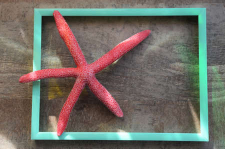 Summer concept: a pink starfish  in a mint green frame on a wooden backgroundの写真素材