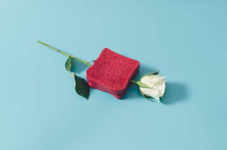 A white rose between two slices of pink toast on a pastel blue background. Minimal creative...