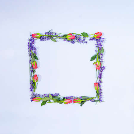 A frame made of fresh lavender and coral roses on  a pastel blue background. Romantic floral composition. Copy space. Minimal invitation or announcement card concept.の写真素材