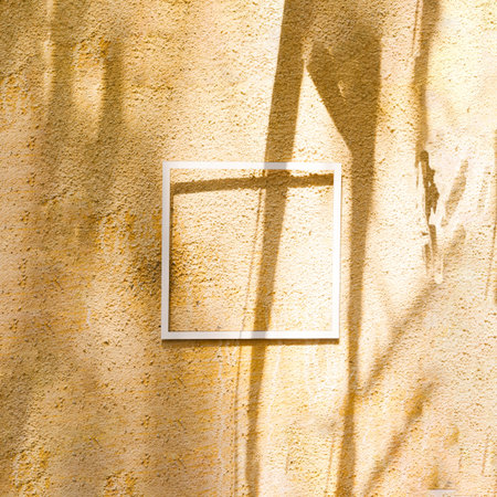 A simple white frame on a beige wall with shadows of tree branches making an interesting contrast....