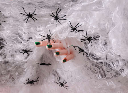 A woman's hand with green nails trapped in a spider web with spiders all around. Horror Halloween creative concept. Spooky background or creative design.の写真素材