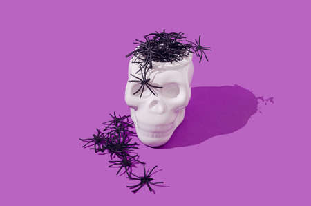 Spiders coming out of a white scull on purple background. Halloween spooky creative design.の写真素材