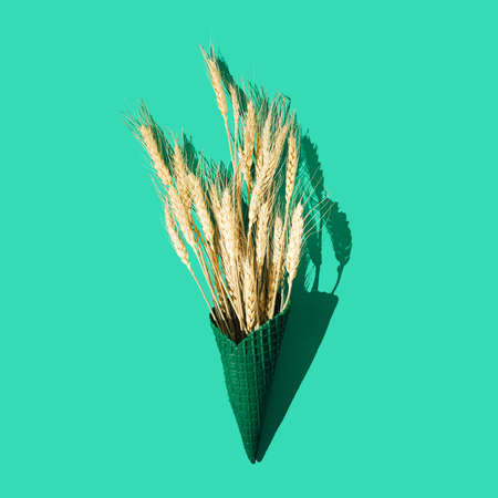 A green ice cream cone with dry wheat grass on pastel green background. Creative still life Thanksgiving concept. Beautiful autumn holiday artistic design.の写真素材