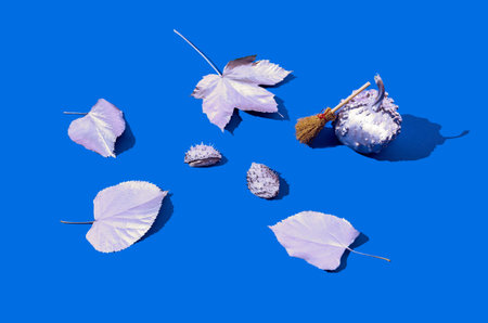 Surreal Autumn nature concept: silver leaves, chestnuts, a pumpkin and a broom on blue background....