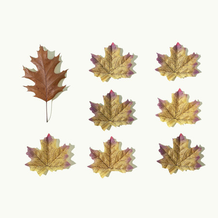 Autumn or fall scene background or wallpaper with leaves.  Minimal nature seasonal conccept. Flat...