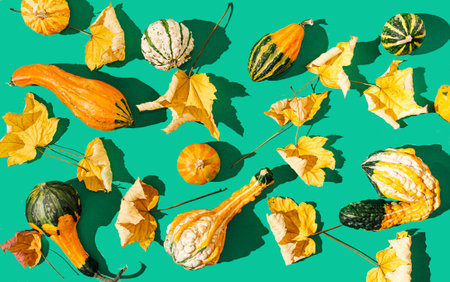 A colorful pattern or backdrop made of gourds, pumpkins and dry autumn leaves on green background....