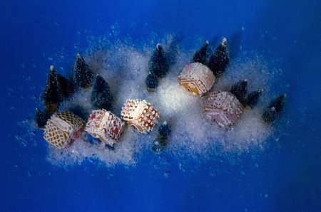 Gingerbread houses and pine trees with snow around on dark blue background. Top view. Romantic traditional Christmas or festive winter season creative concept. Design for advertisement.の写真素材