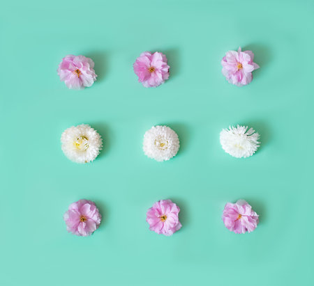 A spring summer wallpaper made of pink and  white flowers aligned on pastel green background. Background for celebration card or banner. Flat layの写真素材