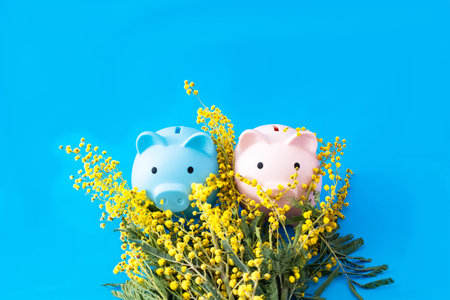 A blue and a pink piggy bank behind yellow mimosa flowers against blue background. Surreal concept for Valentine card or banner. Design for editorial on love and moneyの写真素材