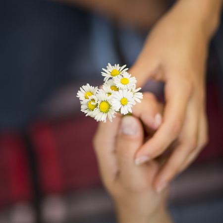 Detail of hands where boyfriend is giving flowers to girlfriend while they are on a picnic in a park. Focus on the flowersの写真素材