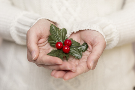 Detail of female hands holding a mistletoeの写真素材