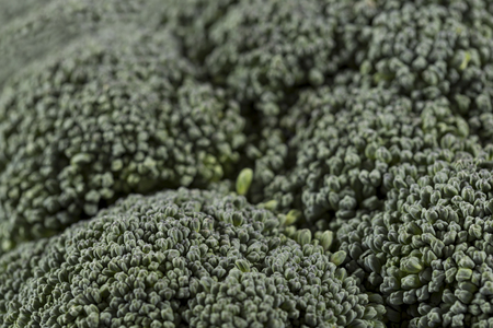 Close up of a fresh organic broccoli florets. Selective focusの写真素材