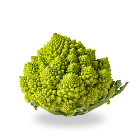 Close up of a fresh romanesco cauliflower florets isolated on white background. All in focus, focus stacked imageの写真素材