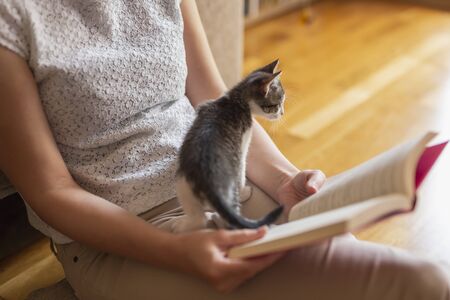 Woman sitting on the living room floor, reading a book and cuddling cute little kitten during covid-19 pandemic stay at home campagneの写真素材