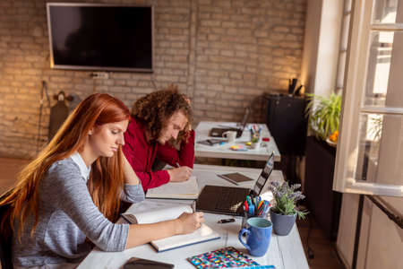 Young business colleagues working together on a new project; freelance programers working in a coworking spaceの写真素材