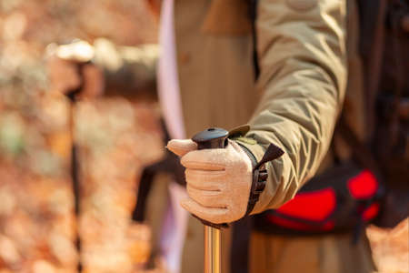 Active young woman holding a compass and reading a map while taking a hiking break, having fun and relaxing while spending autumn day outdoorsの写真素材