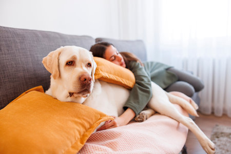 Woman relaxing at home taking an afternoon nap lying on the couch sleeping and hugging her pet dogの写真素材