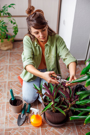 Beautiful young woman enjoying leisure time at home, relaxing by gardening, cutting houseplant dried leaves with scissorsの写真素材