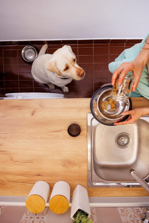 Top view of woman standing in the kitchen pouring food into bowl while feeding her dog; pet owner giving biscuits and treats to her dogの写真素材