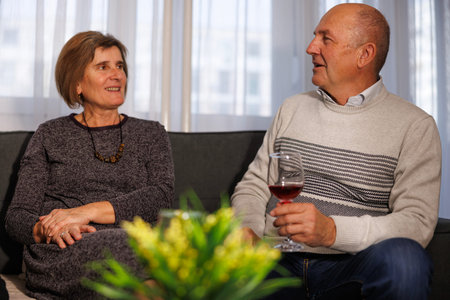 Senior couple having fun spending time with friends, chatting, drinking wine and enjoying leisure...
