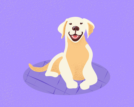 Golden Rotriever on a lilac rug. Pet friendly. Isolated vector illustration for print, poster, banner, flyer, web site design and services for dog ownersのイラスト素材