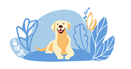 Puppy hides in the bushes and peeps. Advertising banner, poster for websites, applications, cafes and hotels where pets are welcome. Emotional support banner with pet. Pet-friendly place for animal lovers with a white dog.のイラスト素材