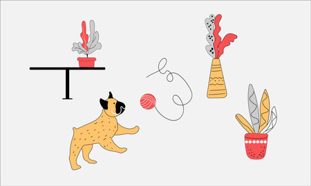 Set interior, dog, indoor flowers in a vase, table. French Bulldog plays with a ball of knitting thread. Vector illustration, pet friendly conceptのイラスト素材