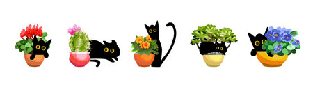 Set cartoon black cat in a pot with houseplants. Funny pets vector scene. A cheerful cat hides behind a flower pot, hooligans, jumps on plants.のイラスト素材