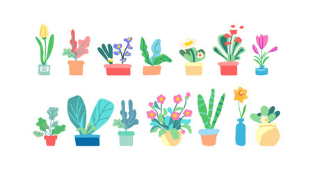 Collection spring flowers and leaves in the pot. Flowering plants. Blooming flowers and foliage. Flat graphic vector illustration on white background. Colorful hand drawn illustrationのイラスト素材