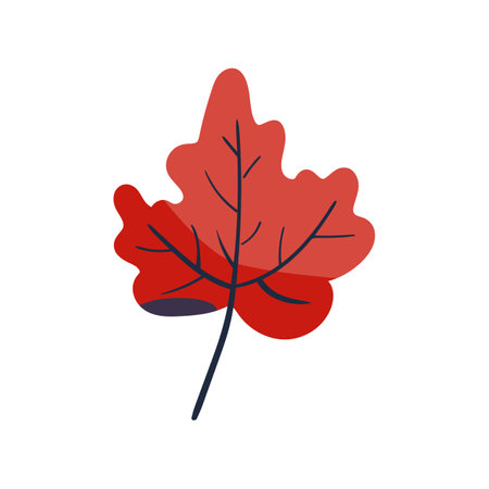 Folk plant. Red maple leaf. Autumn botany Minimalistic style. Flat isolated vector illustration. No AI. hand drawnのイラスト素材