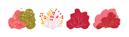 Set of autumn plants folk. Pink, burgundy and green bushes Bush with yellow and red leaves and red berries on a white background. Hand drawn. Isolated Flat vectorのイラスト素材