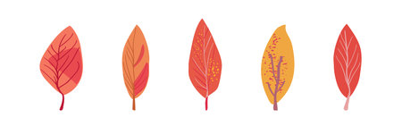 Set of autumn plants folk. Pink and yellow trees. Simple colorful leaves with spotted texture on a white background. Hand drawn. Isolated Flat vectorのイラスト素材