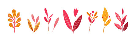 Set of autumn plants and folk flowers. Simple branches with yellow leaves and red berries on a white background. Hand drawn. Flat vectorのイラスト素材