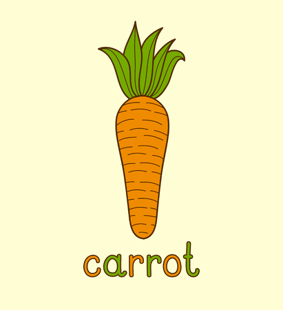 Cartoon vector Illustration of color carrot on yellow background.の写真素材