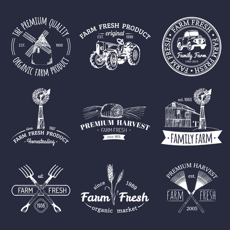 Vector retro set of farm fresh logotypes. Organic products badges. Eco food signs.Sketched agricultural equipment icons.のイラスト素材