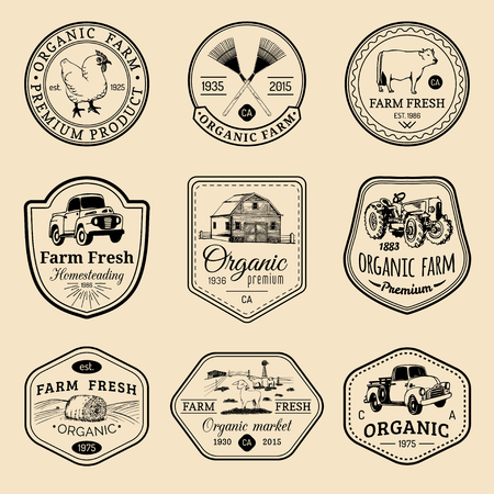 Vector retro set of farm fresh logotypes. Vintage labels with hand sketched agricultural equipment illustrations.のイラスト素材