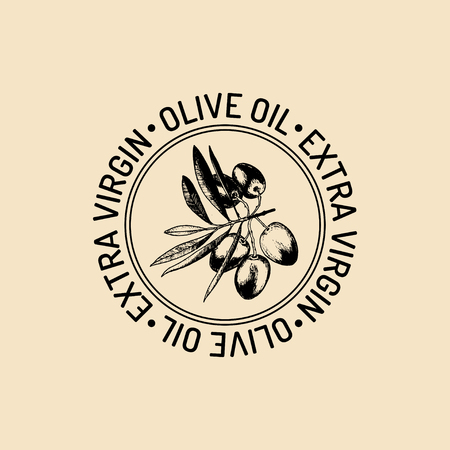 Vector vintage olive logo. Retro emblem with branch. Hand sketched natural extra virgin oil production sign.のイラスト素材
