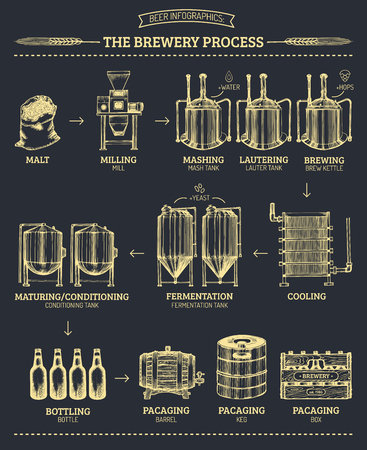 Vector beer infographics with illustrations of brewery process. Ale producing design. Lager production sketched scheme.のイラスト素材