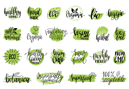 Vector eco, organic, bio signs. Vegan, healthy food illustrations set for cafe, restaurant badges, tags, packaging etc.のイラスト素材