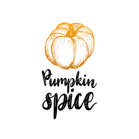 Pumpkin Spice lettering on white background. Hand sketch illustration for invitation or festive greeting card template.のイラスト素材