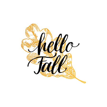 Vector Hello Fall hand lettering. Oak leaf illustration on white background. Typography poster.のイラスト素材
