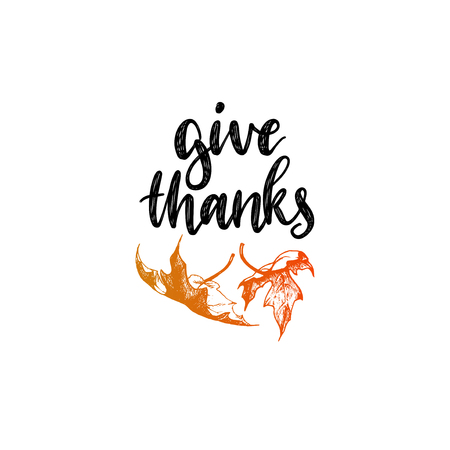Give Thanks vector lettering. Maple leaf hand sketch illustration for Thanksgiving invitation or greeting card.のイラスト素材
