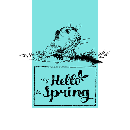 Hello Spring hand lettering.のイラスト素材