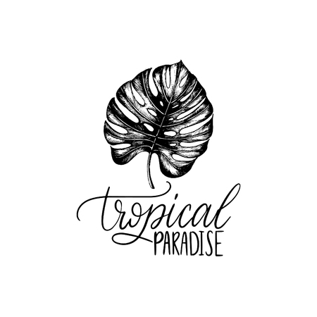 Hand lettering poster with text Tropical Paradise. Vector palm leaf illustration. Calligraphy on white backgroundのイラスト素材