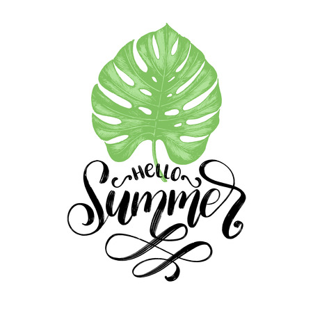 Hand lettering Hello Summer.Vector inspirational phrase on palm leaf background.のイラスト素材
