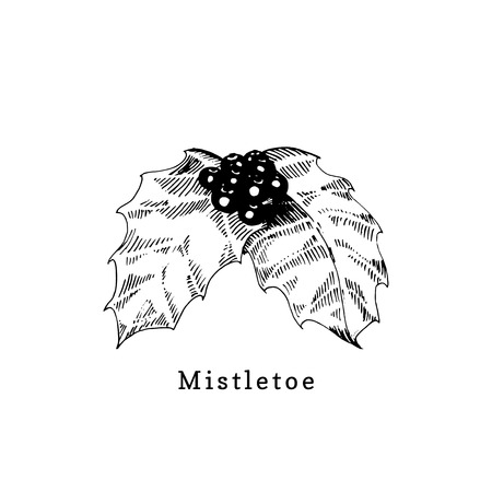 Mistletoe branch, hand drawn illustration on white background. Vector Christmas designのイラスト素材