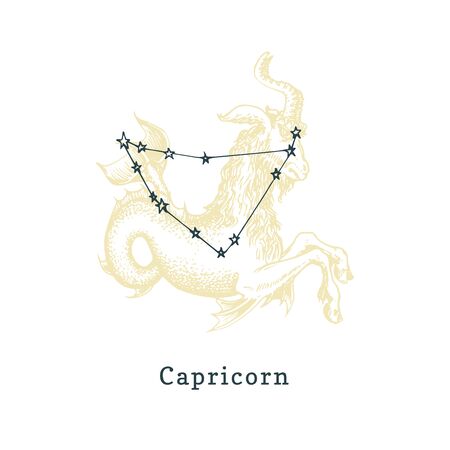 Zodiacal constellation of Capricorn  of drawn symbol in engraving style.のイラスト素材