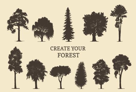 Hand drawn silhouettes of different trees.のイラスト素材
