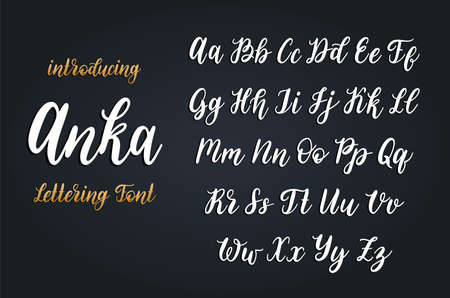 Calligraphic font in vector. Hand written alphabetのイラスト素材