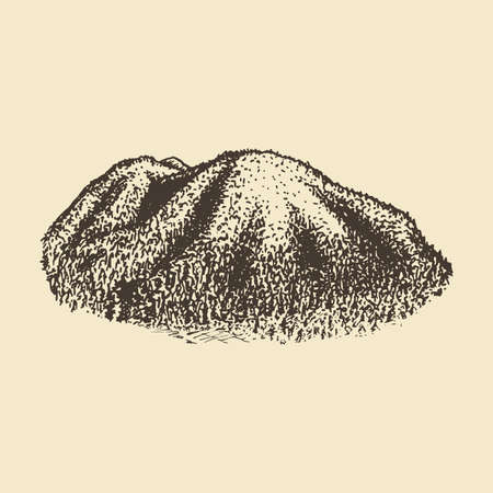 A forest hills view, drawn illustration in vector.のイラスト素材